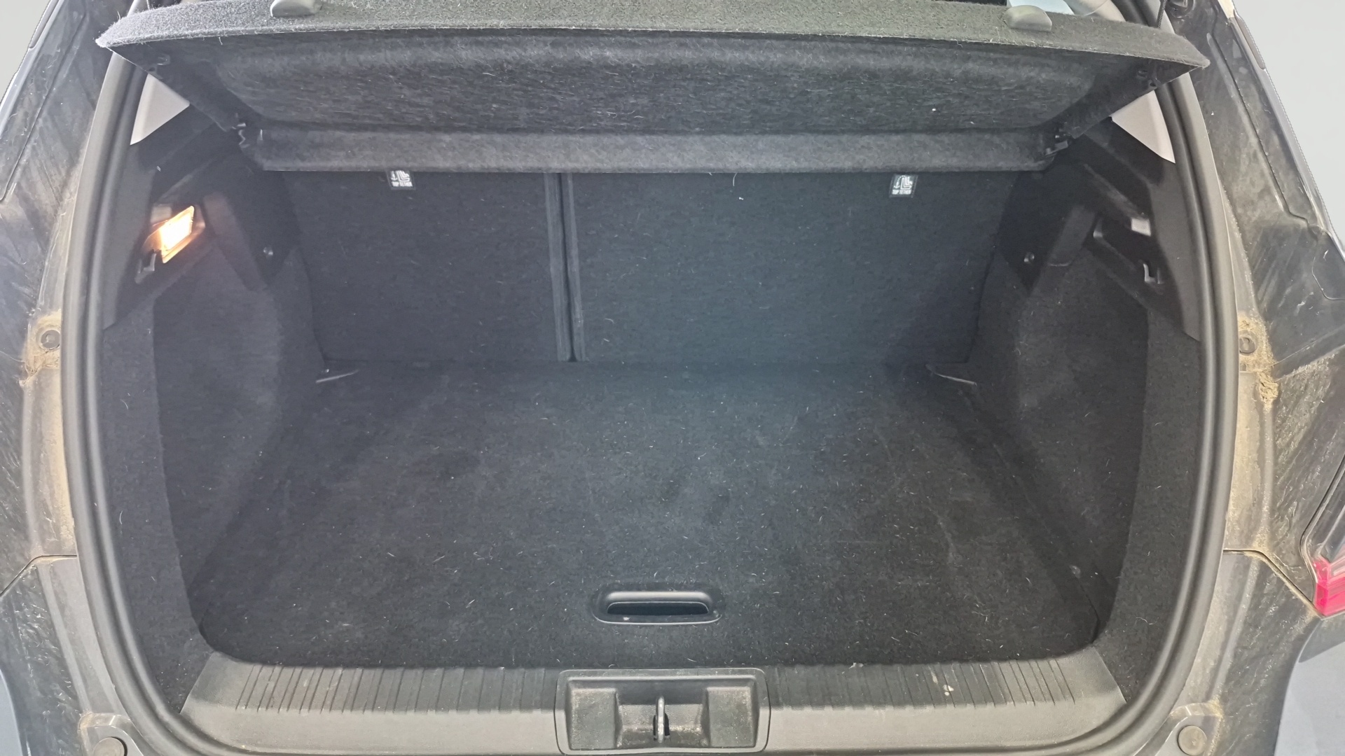 RENAULT CAPTUR TCe 100 GPL - 21 Business